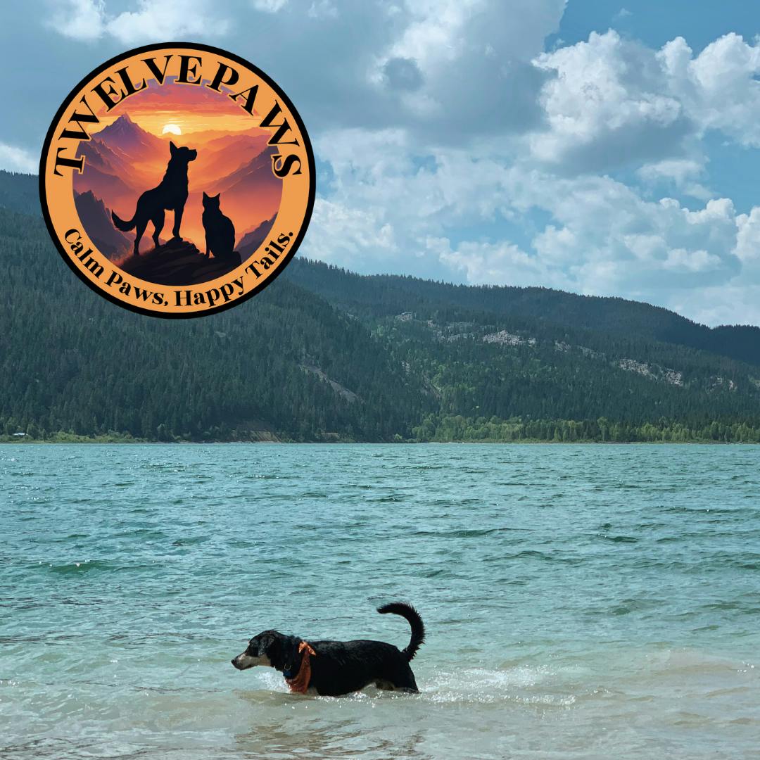 Salmon Flavor Tincture Pet Cbd