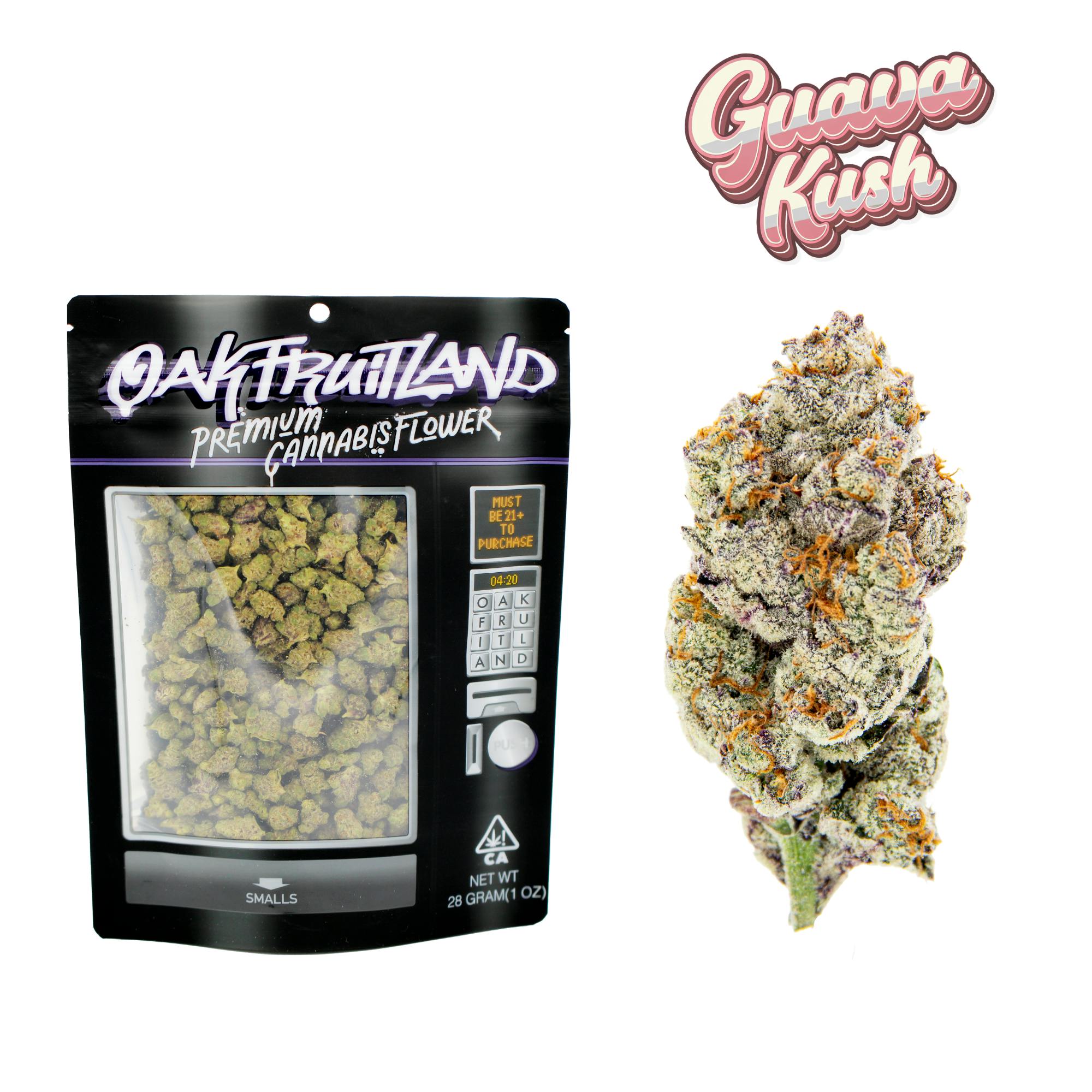 Oakfruitland (OFL): Guava Kush