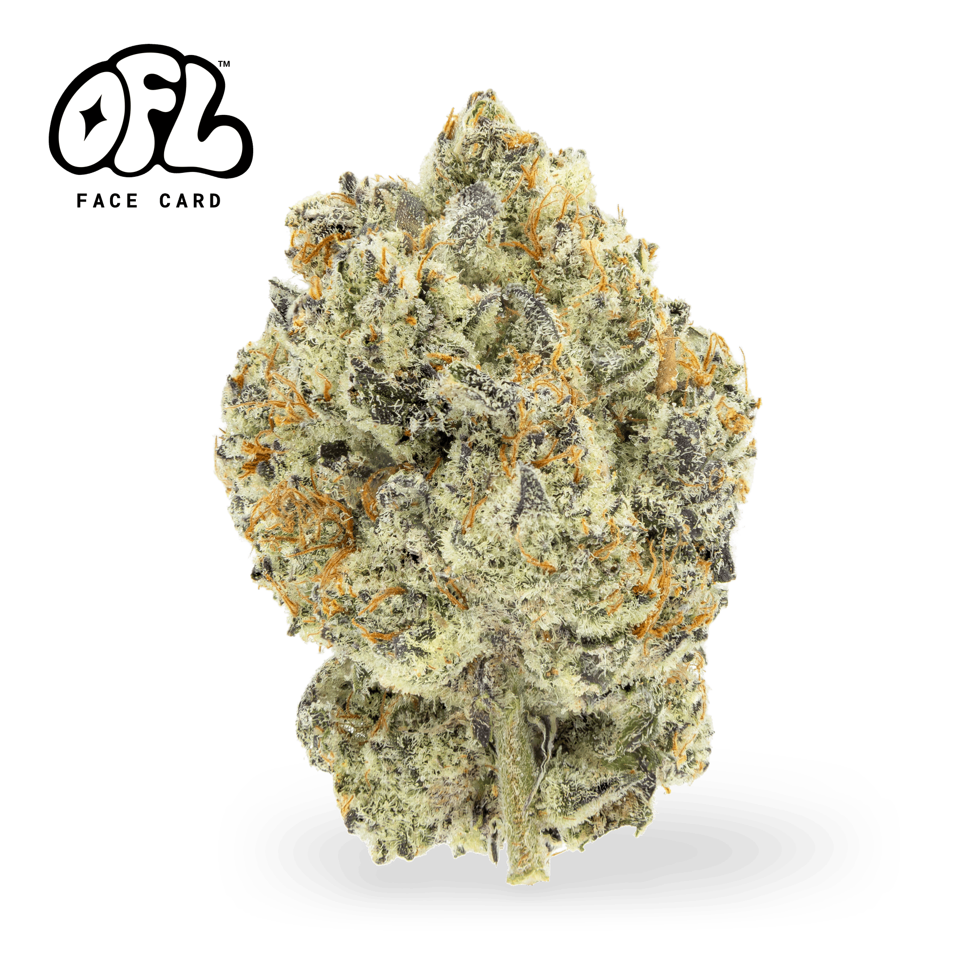 Face Card | Big Buds | 7g