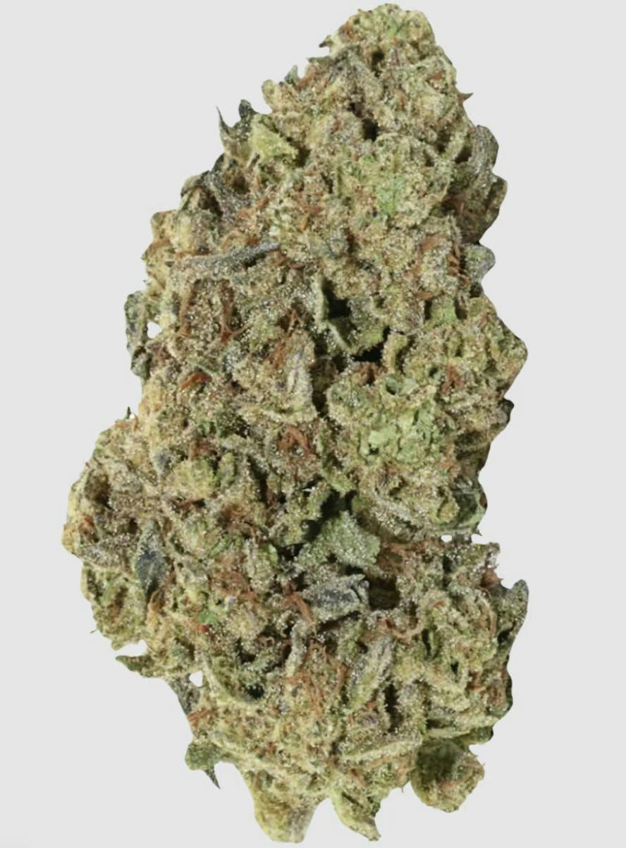 BowHouse | Canal Street Runtz | Flower | 14g by BowHouse