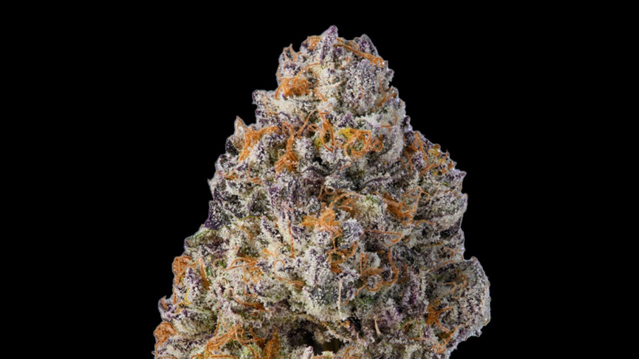 FloraCal Farms: Blue Andes