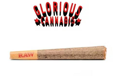 Polar Propane | Infused Joint | 1.0g