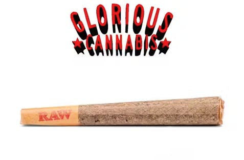 Co. El Chivo Infused Joint