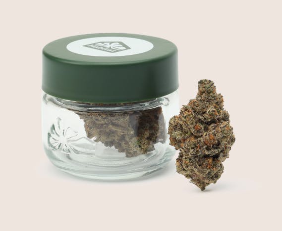 Habitat — Mint