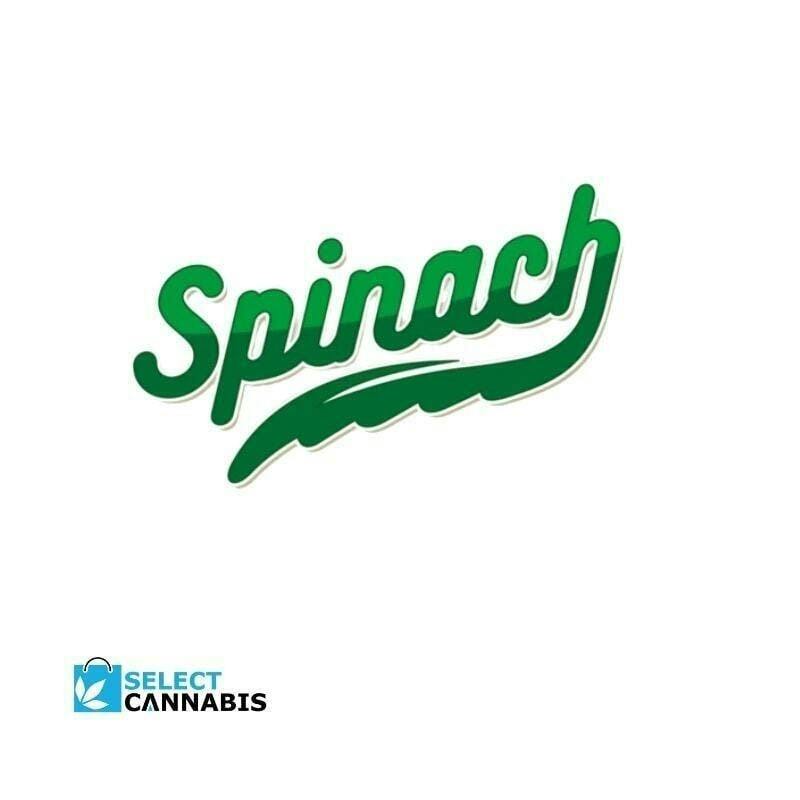 Vanilla RNTZ | Cartridge | 1g by Spinach