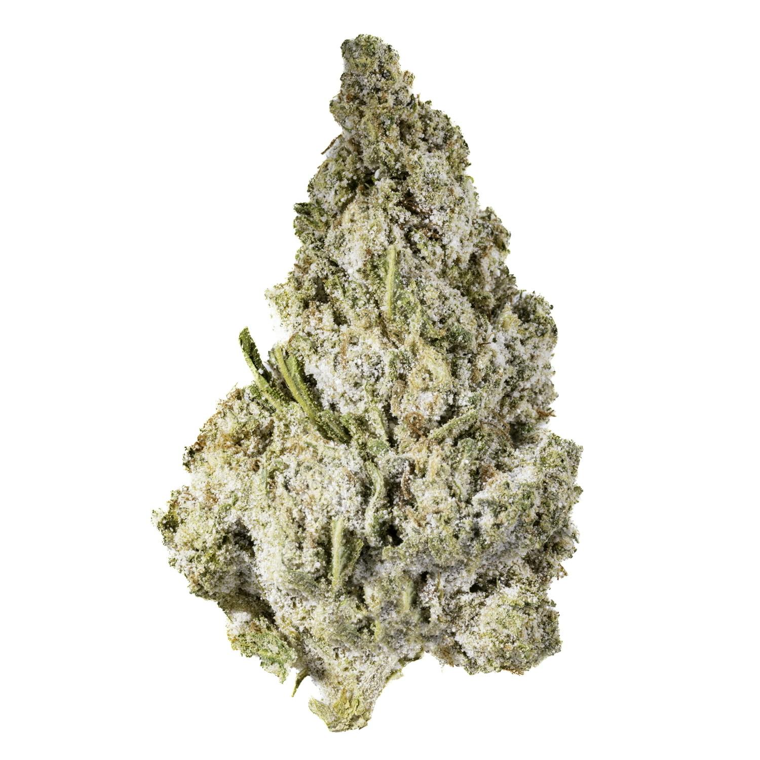 West Coast Cure — Blue Haze