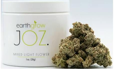 EarthGrown | 100 Rackz | Big Buds | 28g