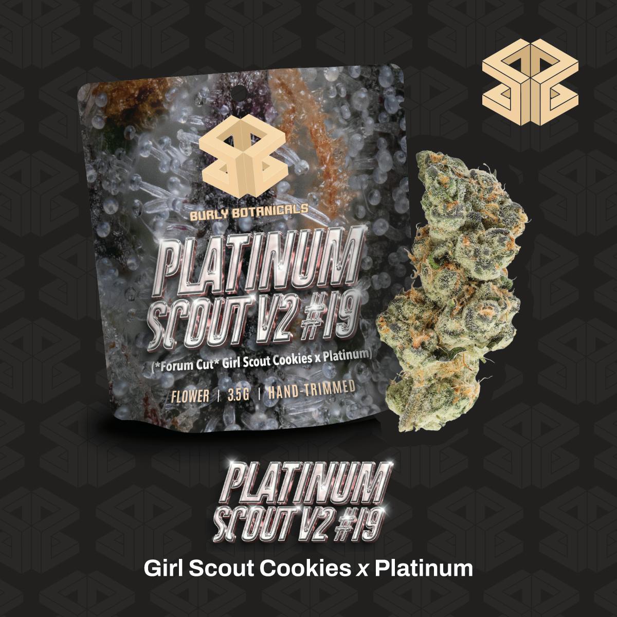 Burly Botanicals | Platinum Scout V2 #19 | 3.5g | Pre-Pack by Burly Botanicals