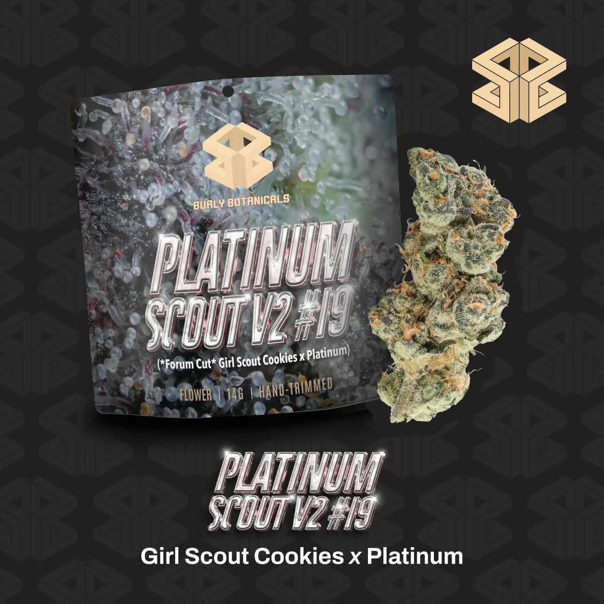 Burly Botanicals | Platinum Scout V2 #19 | 14g | Pre-Pack