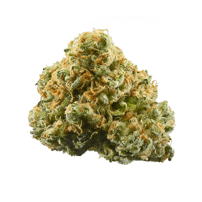 Fresh Canna | Cherry Cola | Flower