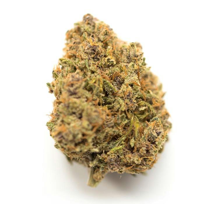 Fresh Canna | GMO | Flower by Fresh Canna