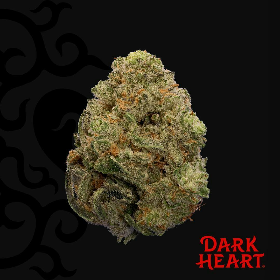 Titan Express Whole Flower