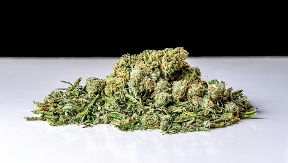 GD Cannabis | Slapz | Ground | 28g