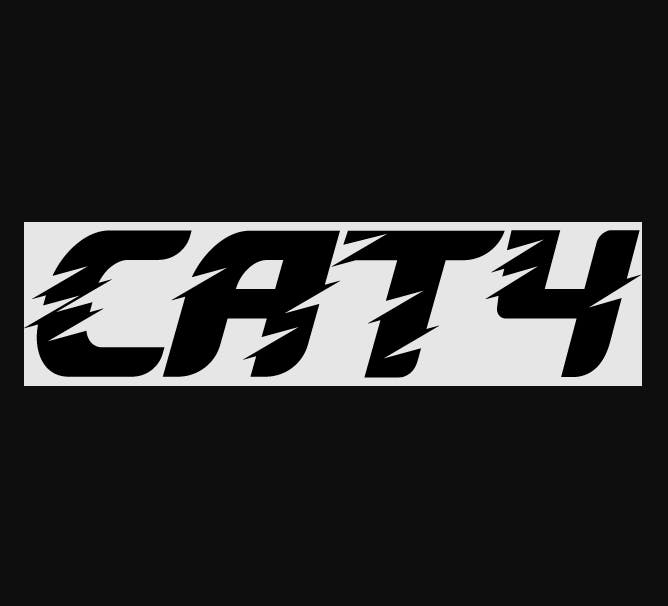 CATALYST — Cat4 - Wedding Cake