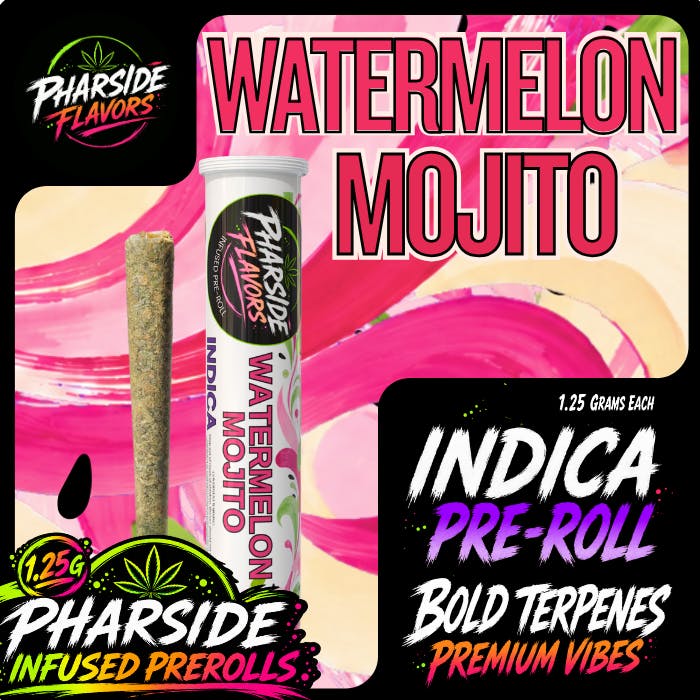 Watermelon Mojito