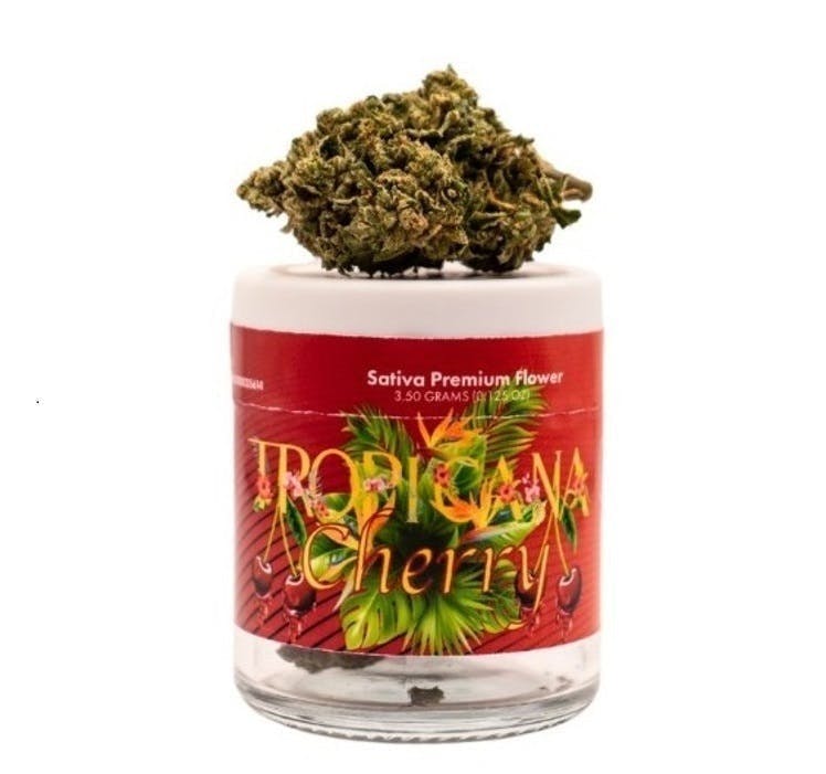 MOTA: Tropicana Cherry