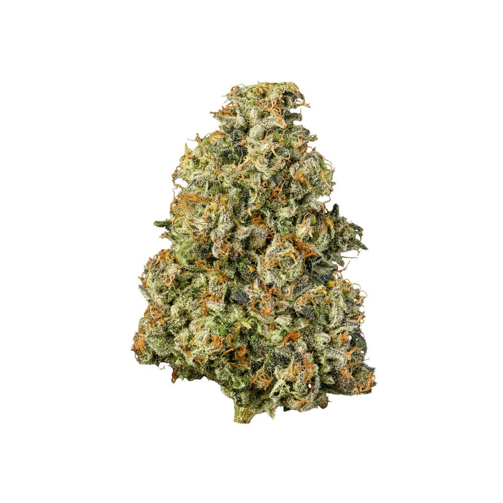 Connected Cannabis Co — Gascotti