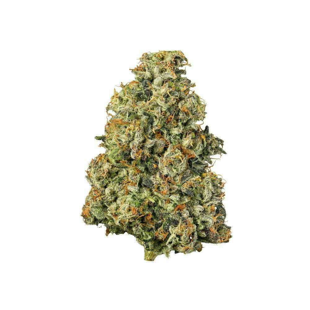 Connected Cannabis Co: Gascotti - Big Buds - 10g