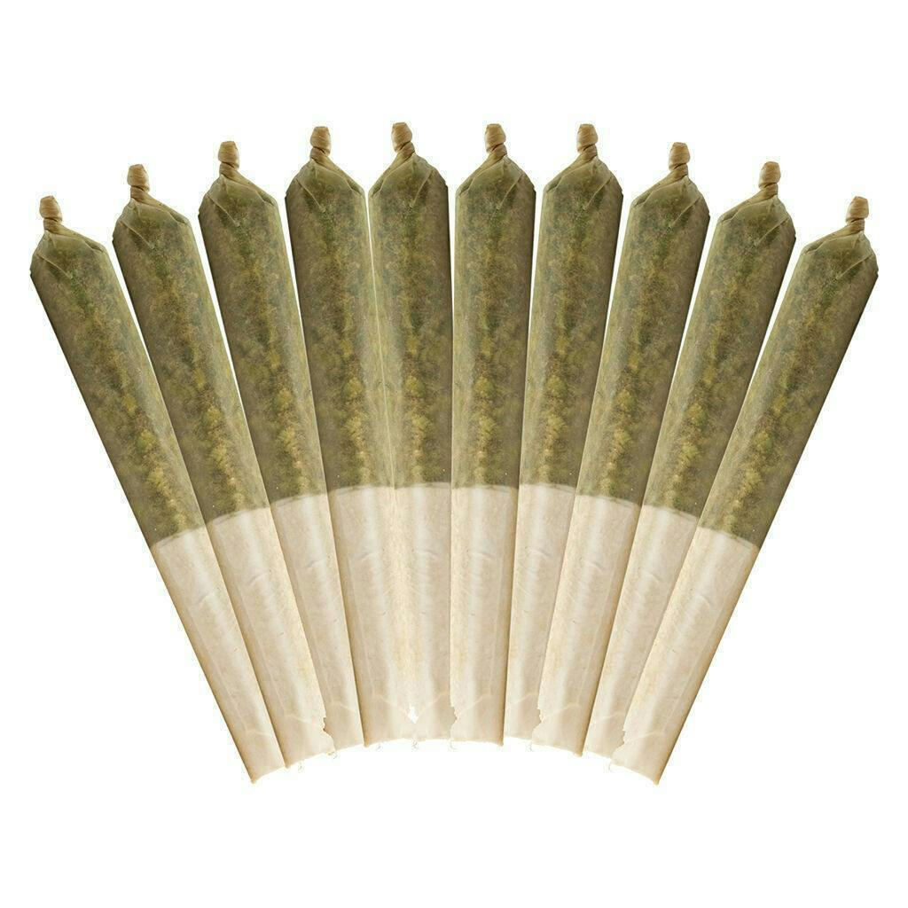Purple Haze | Minis | 0.5g | 10pk