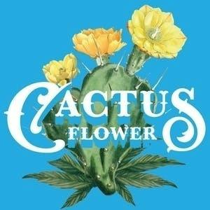 Cactus Flower | Root Beer Float | Gummies | 300mg