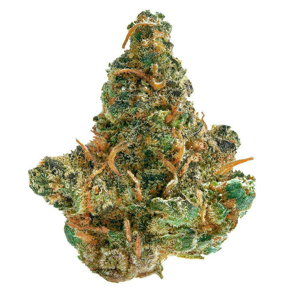 Frosted Cream Puffs | Big Buds | 3.5g