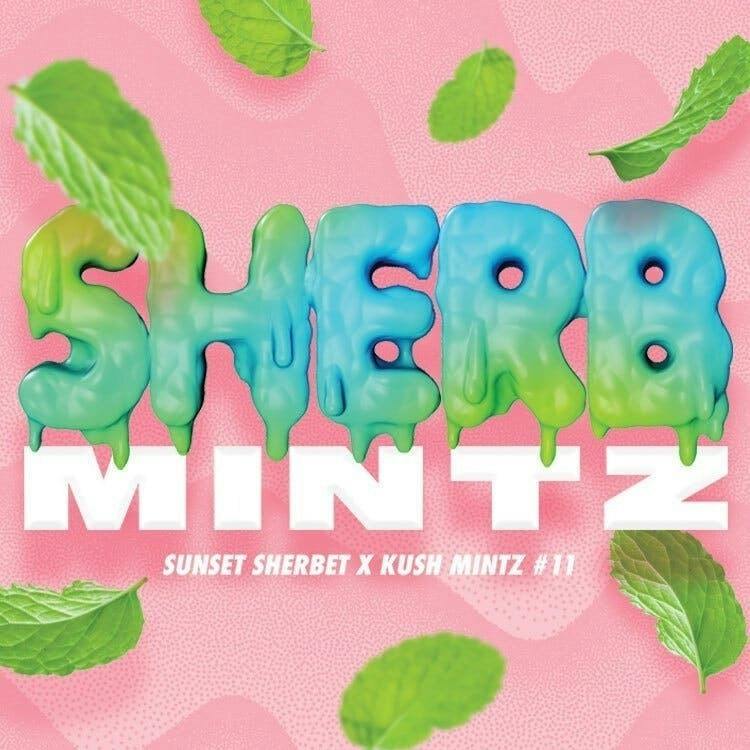 Sherb Mintz | Joint | 1g by Phat Panda