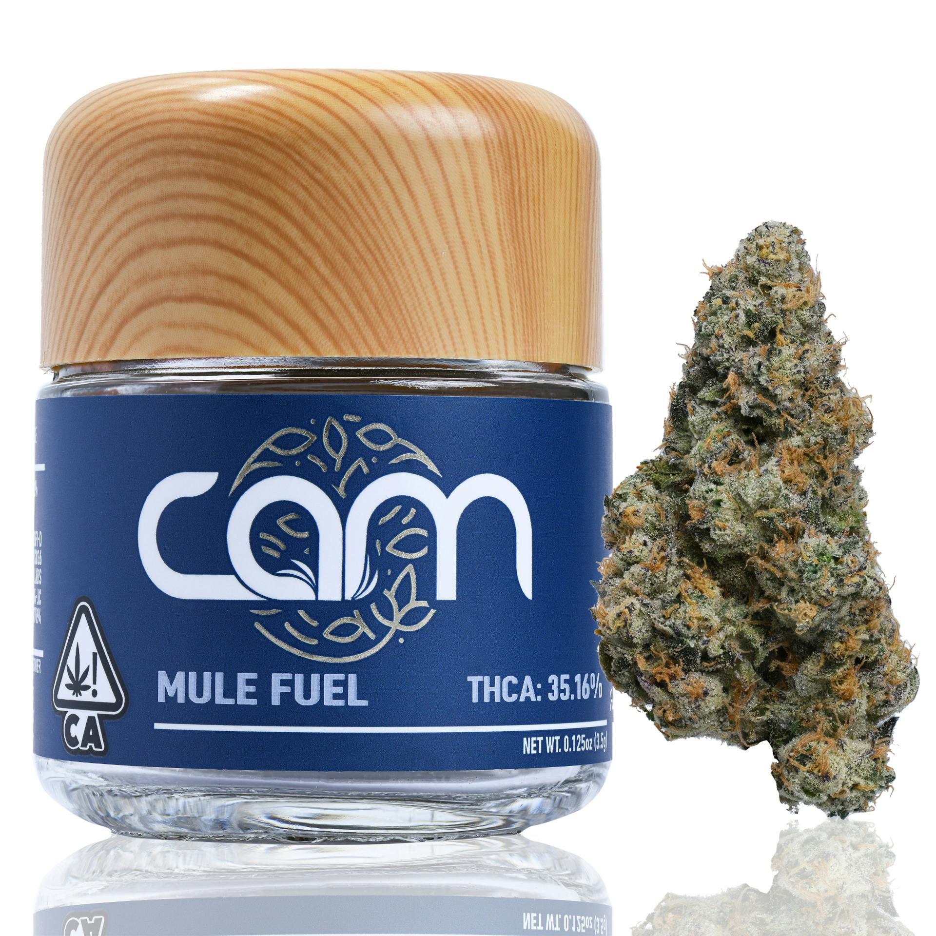 CAM: Mule Fuel