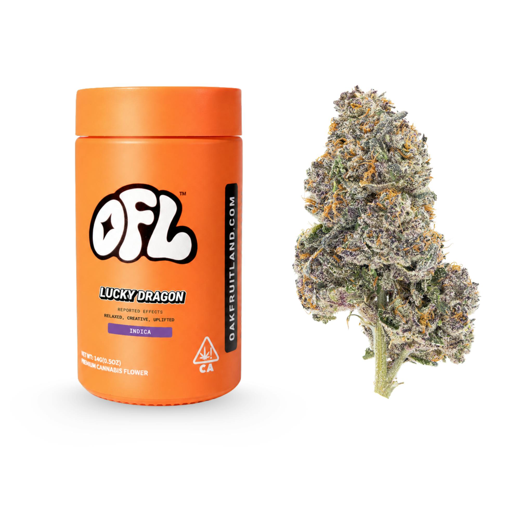 Lucky Dragon | Big Buds Jar | 14g