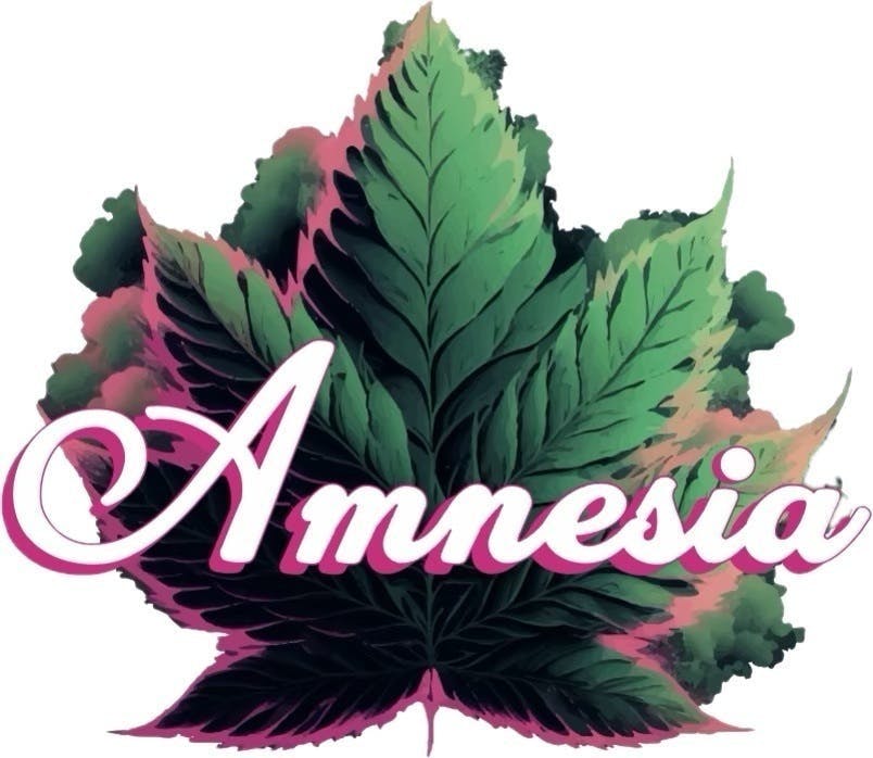 Amnesia MI | White Widow | Cartridge | 1g