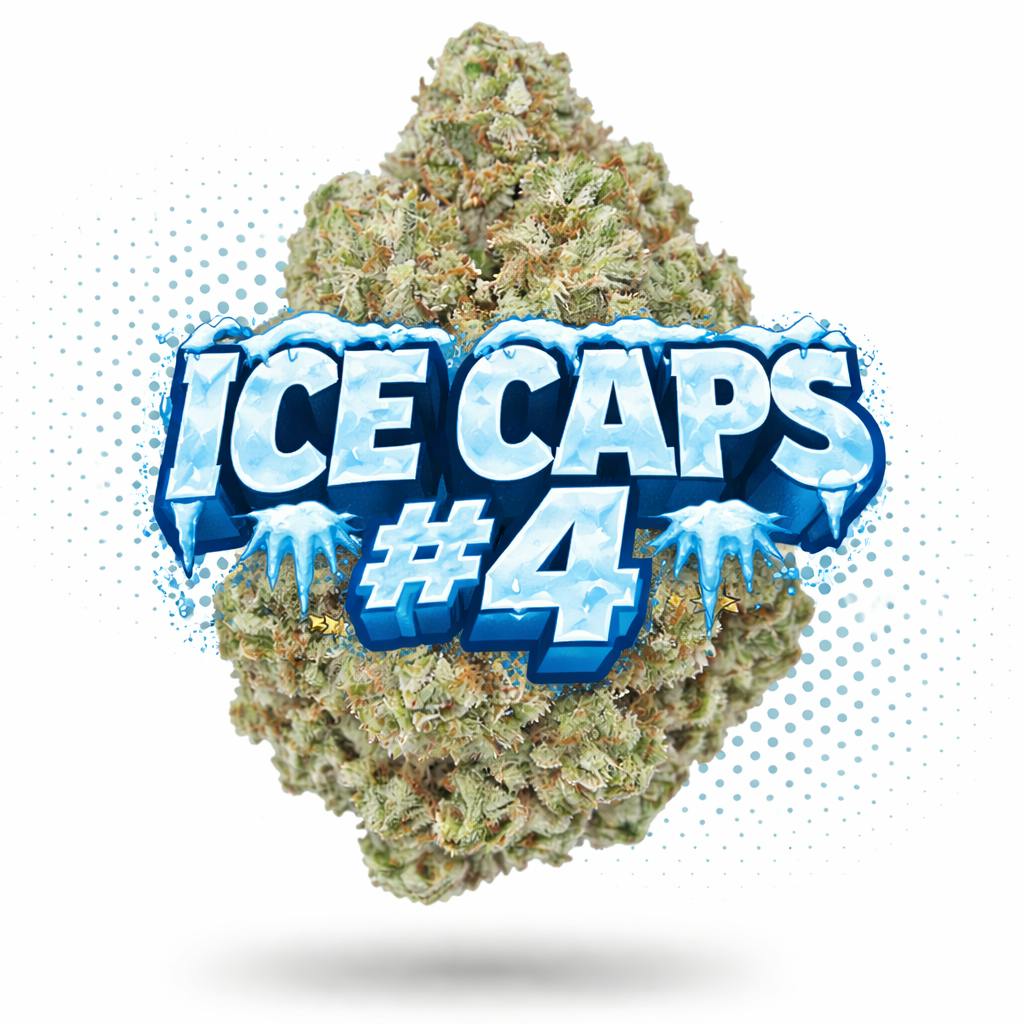 Ice Caps #4 - Topshelf Indoor - New Drop - Hybrid - Frost | Weedmaps