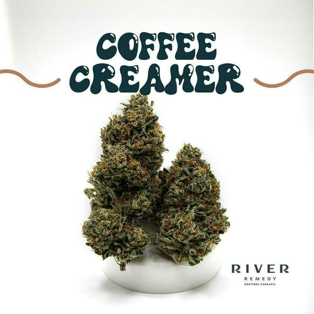 Coffee Creamer | Big Buds | 3.5g by River Remedy