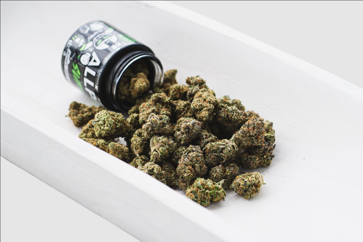 All Pro Farms | Chef's Kiss | Big Buds
