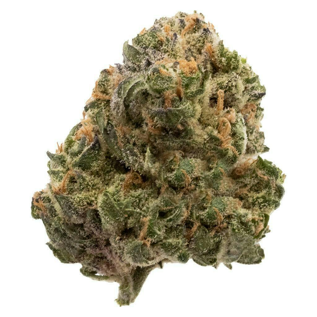 Garlic Truffle | Big Buds | 3.5g