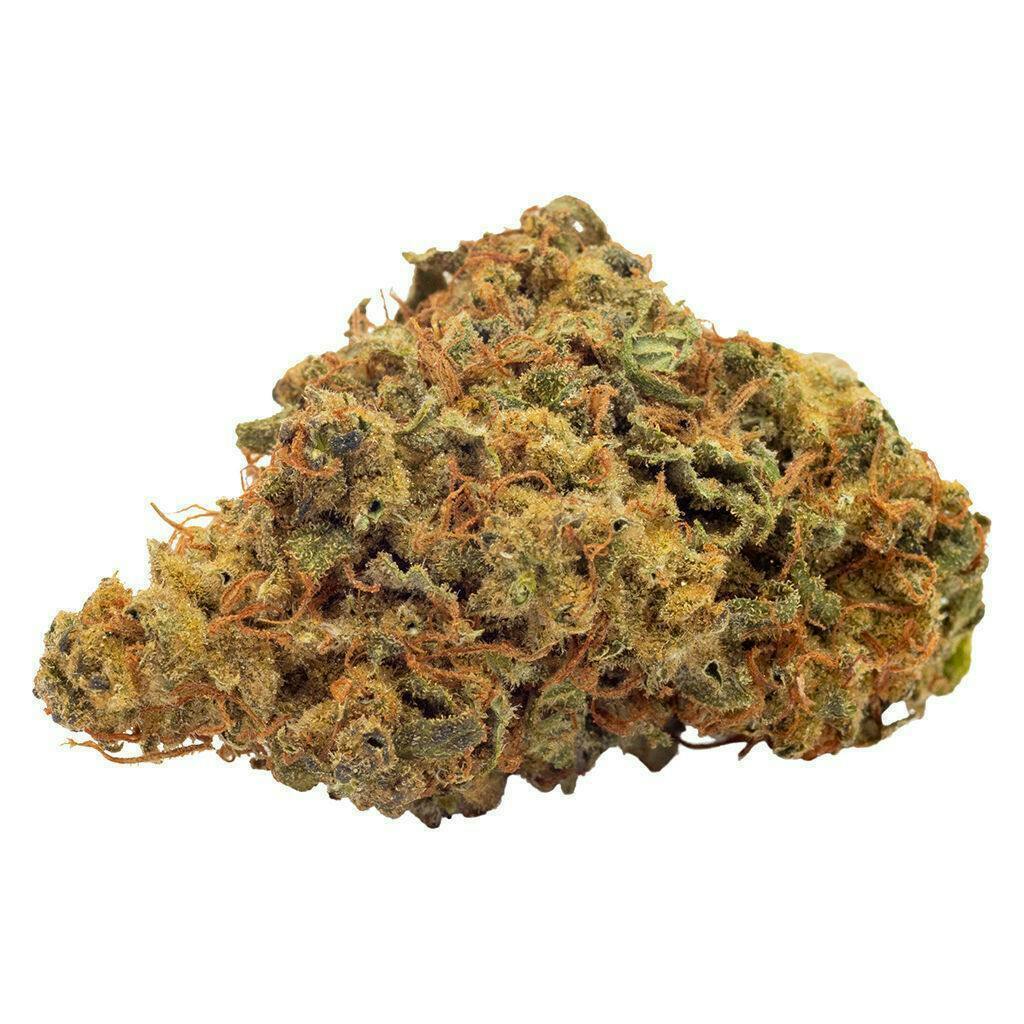 Coastal Sage | Big Buds | 3.5g