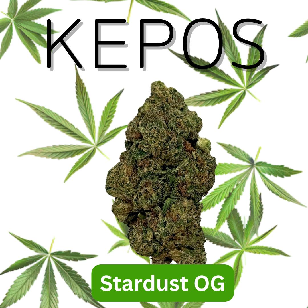 Kepos - Stardust 3.5G - PREMIUM FLOWERS