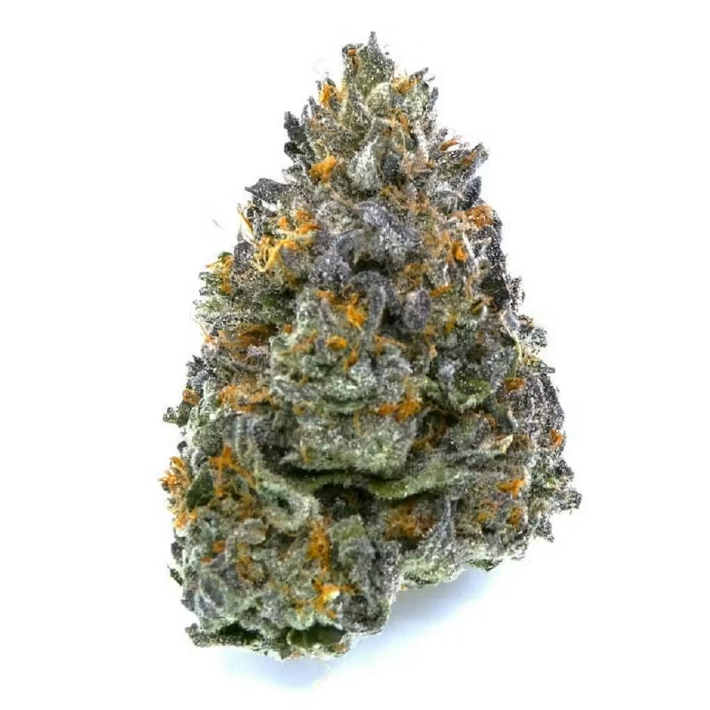 Garlic Trufflez Buds by Avitas