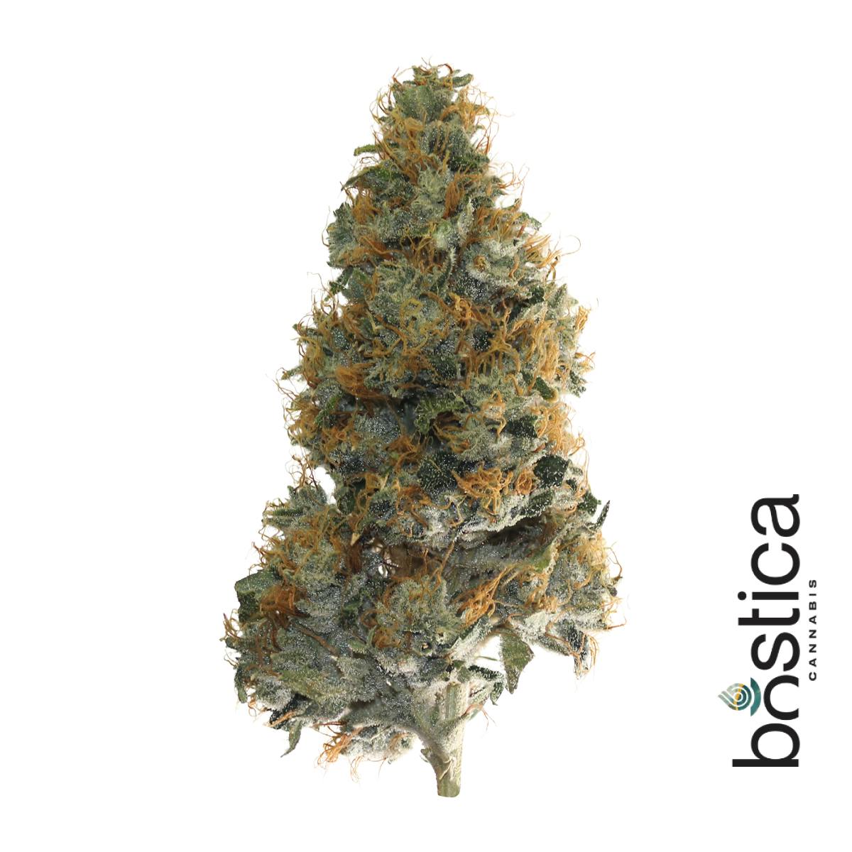 Godfather OG - 3.5g by Bostica