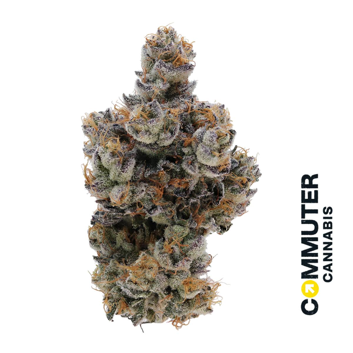 Grape Gary - 3.5g by Bostica