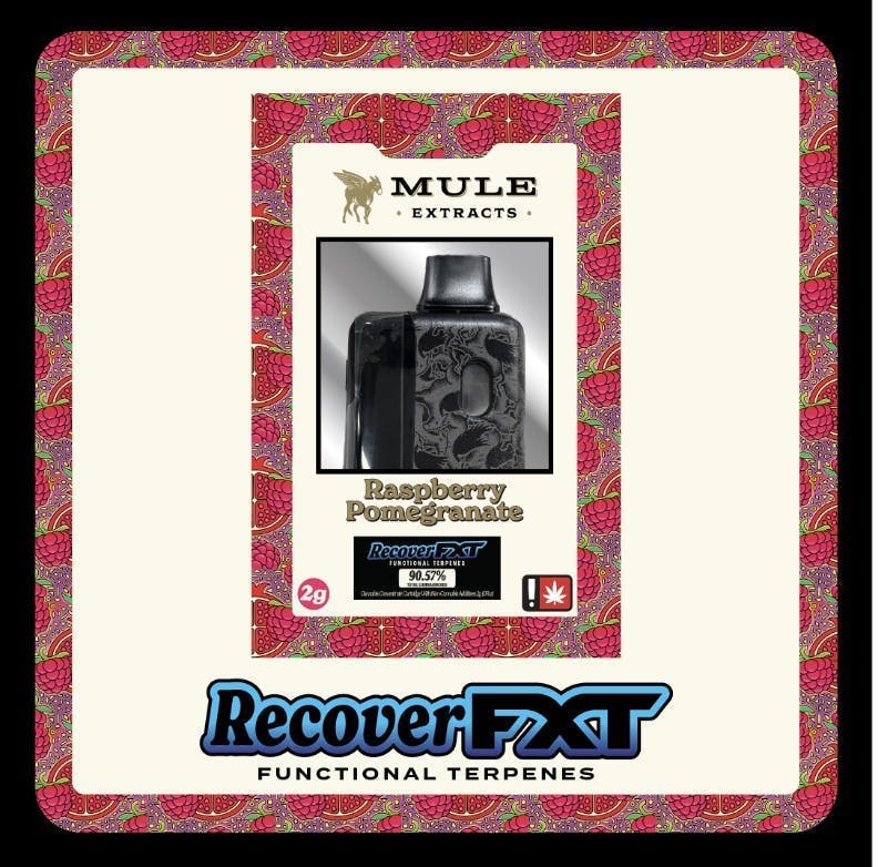 Raspberry Pomegranate (Recover) | FXT Disposable | 2g by Mule Extracts