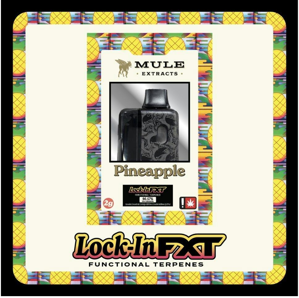Pineapple (Lock-In) | FXT Disposable | 2g