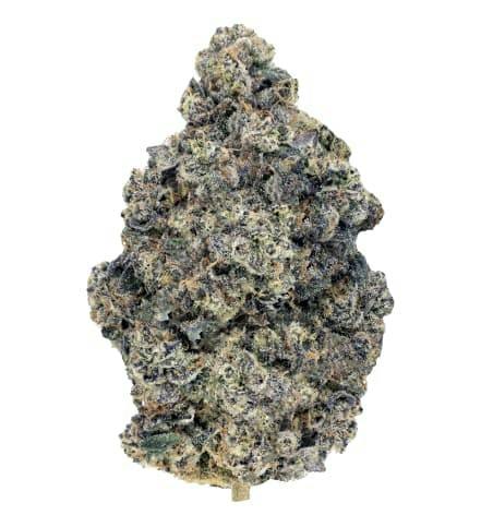 33 Splitter | Big Buds | 14g