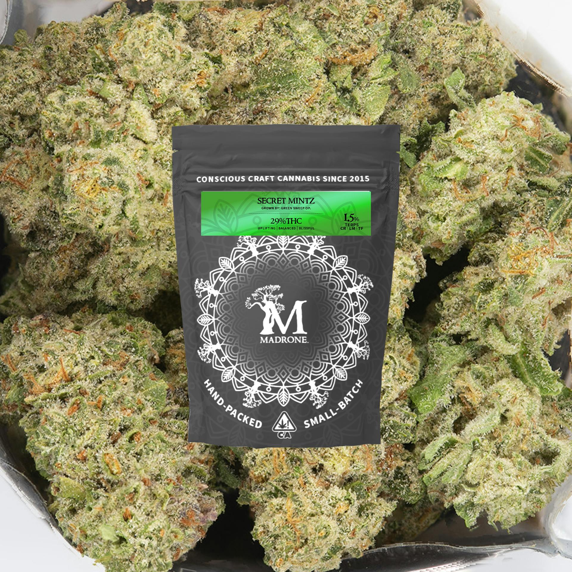 Madrone — Secret Mintz