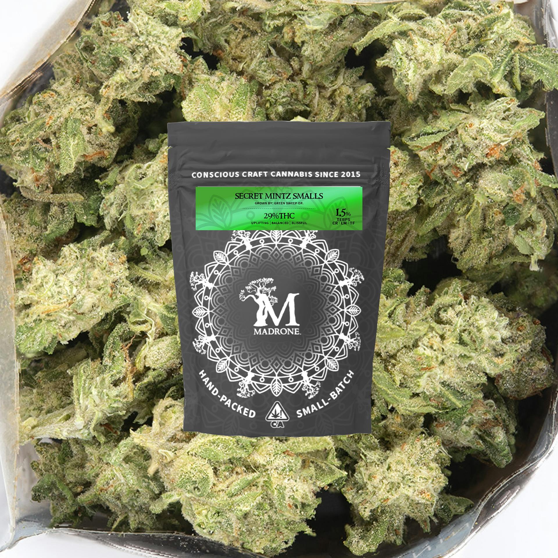 Madrone — Secret Mintz
