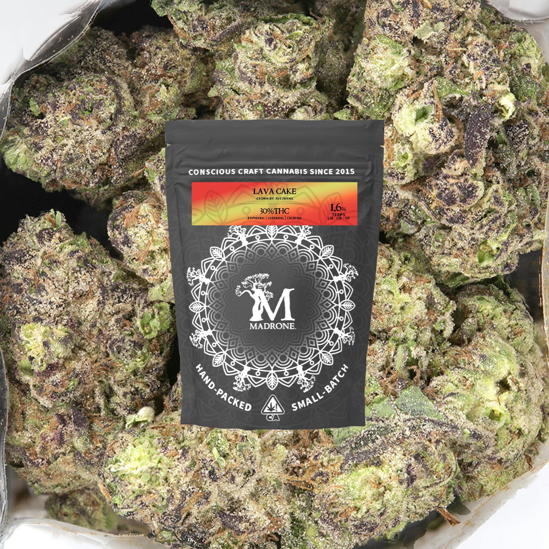 Madrone — Lava Cake