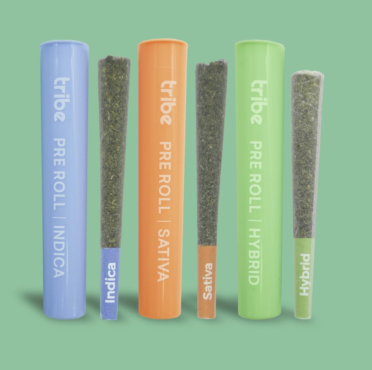 Tribe | Donutz Triploid | Joint | 1g