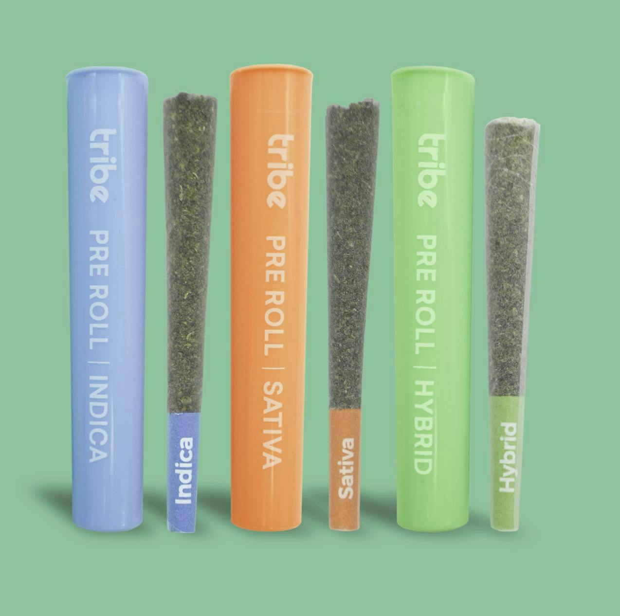 Tribe | Sour Cookies | Joint | 1g