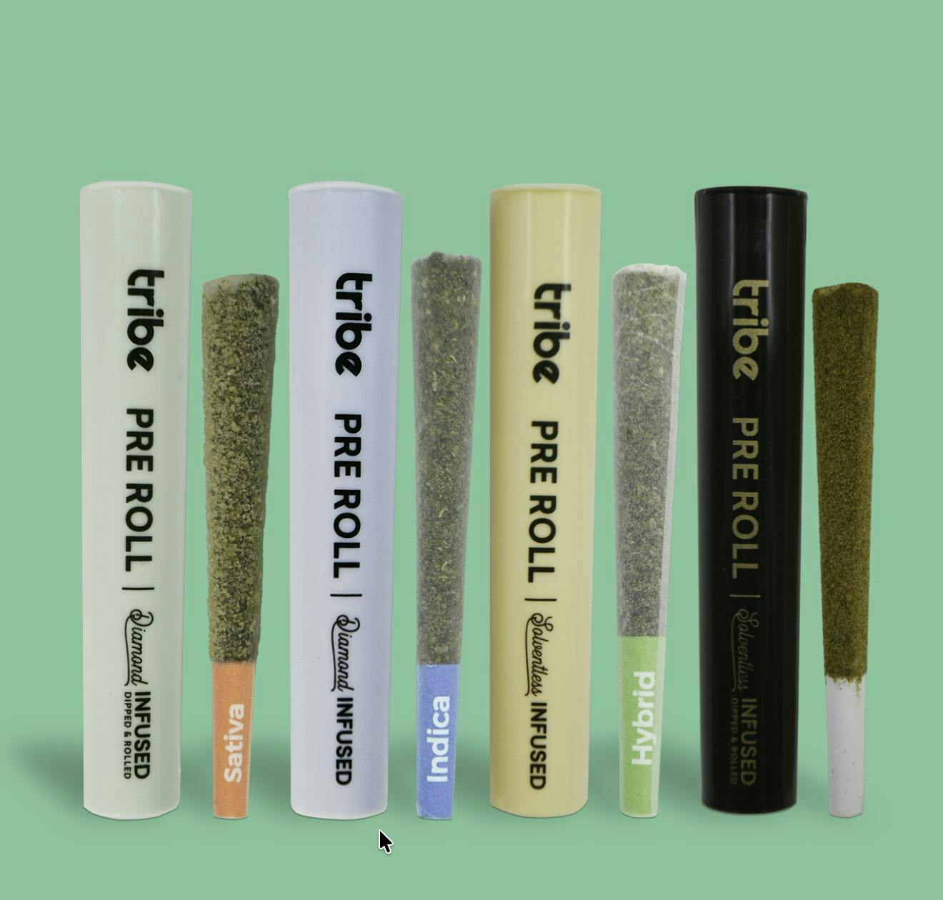 Tribe | Caramel Cream Puff | Solventless Infused Joint | 1g
