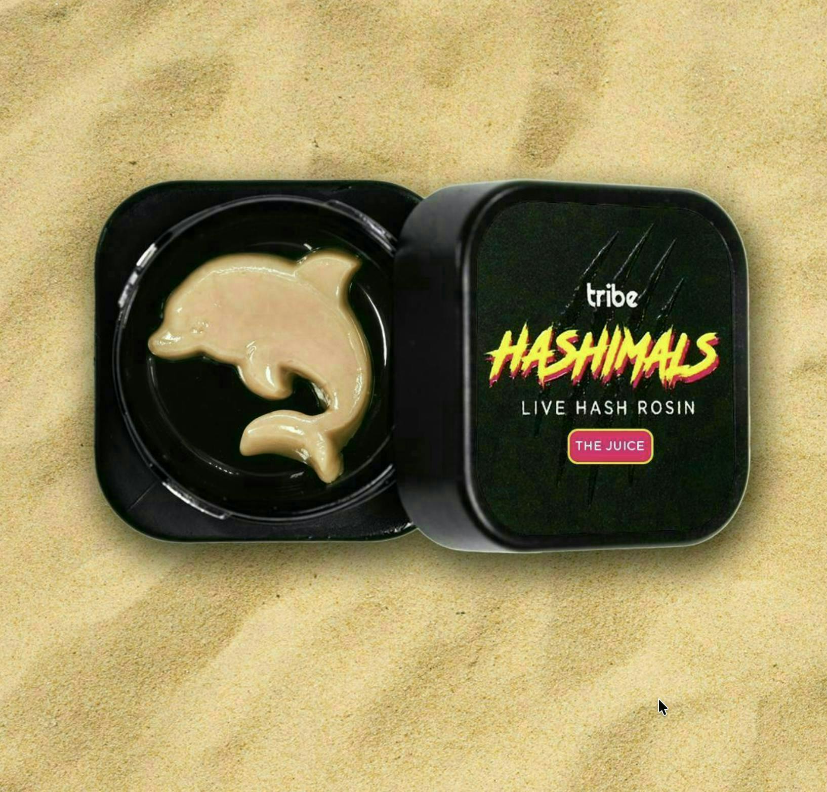 Tribe | Cherry Funk | Starfish Hashimals | 2g