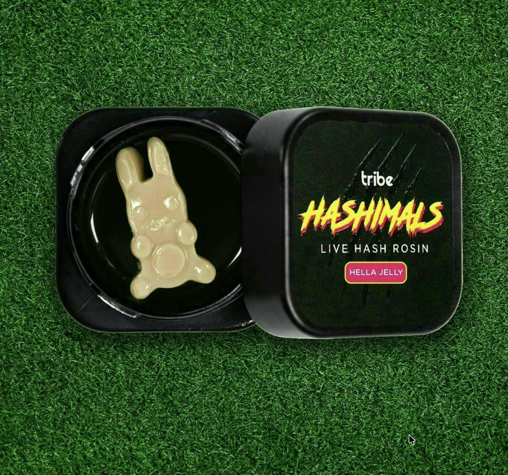 Caramel Cake | Jaywalkers Solventless Infused Minis | 0.45g each | 11pk