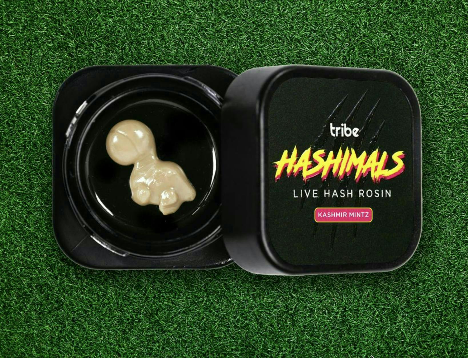 Tribe | Donut Pound Cake | Live Diamonds Disposable | 1g